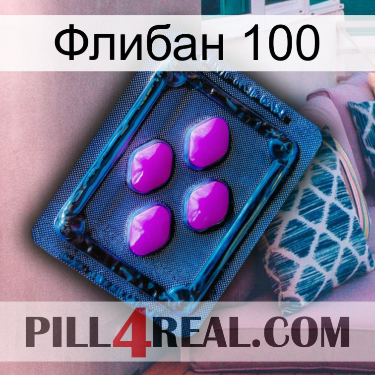 Флибан 100 04